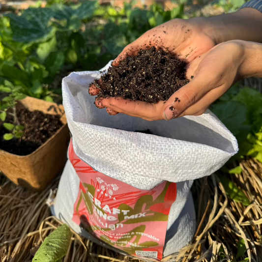 Craft Potting Mix