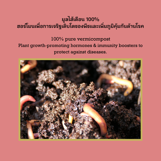 Vermicompost