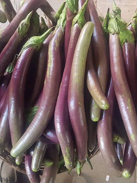 Eggplant - Arjun