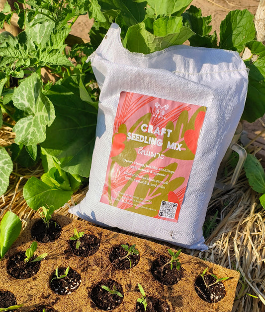 Craft Seedling Mix