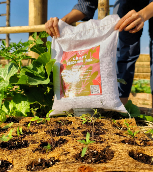 Craft Seedling Mix