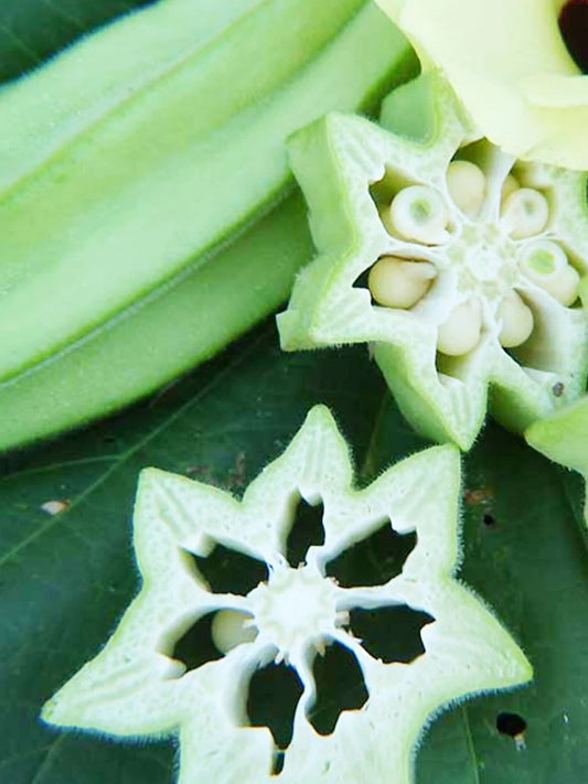 Okra - Green Star