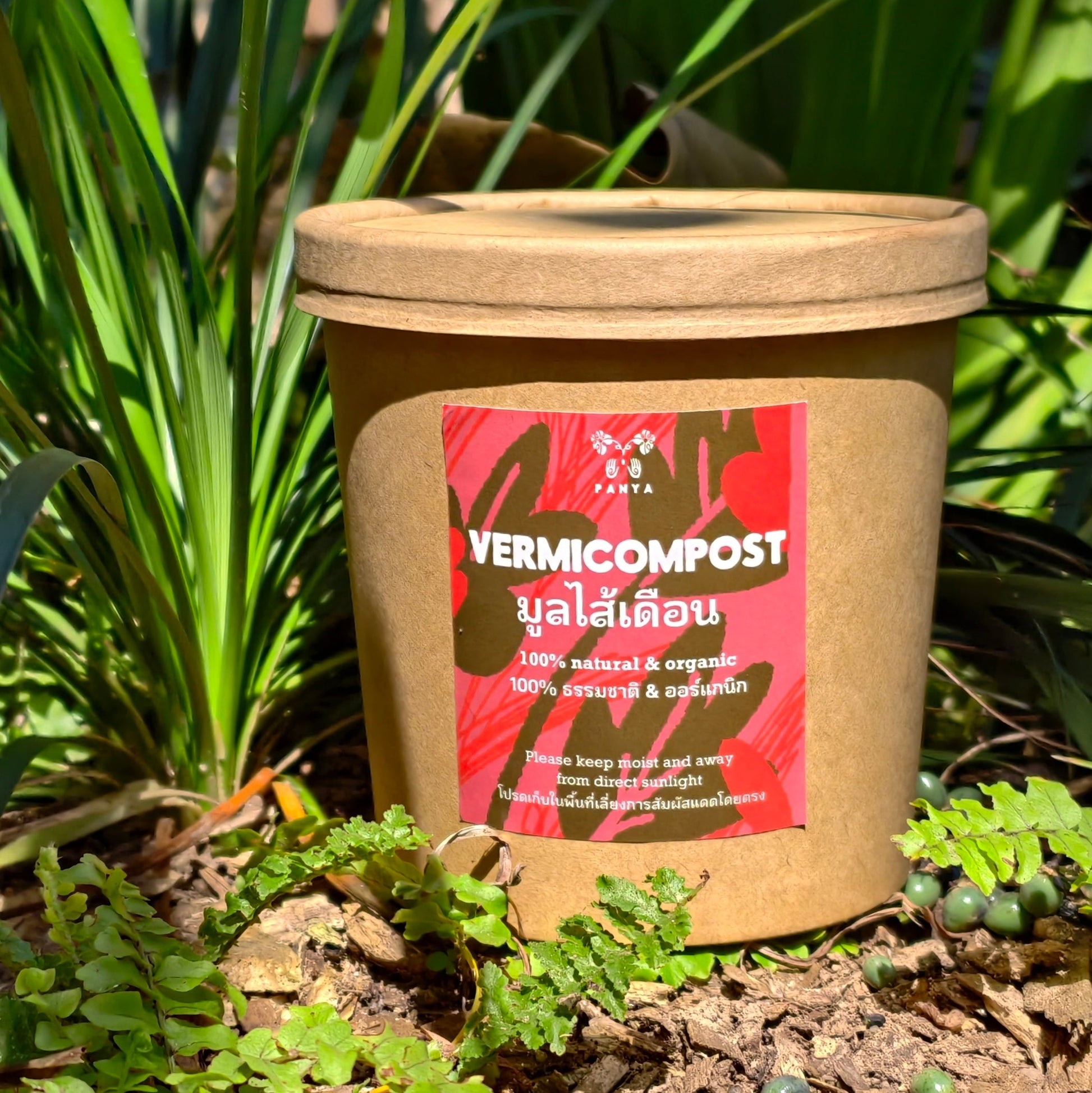 vermicompost for potted plants Vermicompost