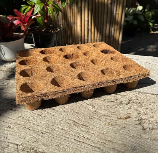 Coconut Coir Tray