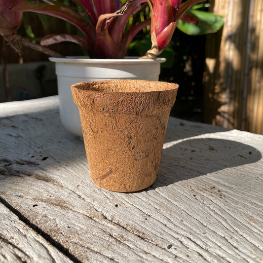 Coconut Coir Pot