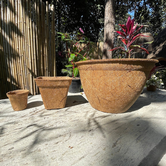 Coconut Coir Pot