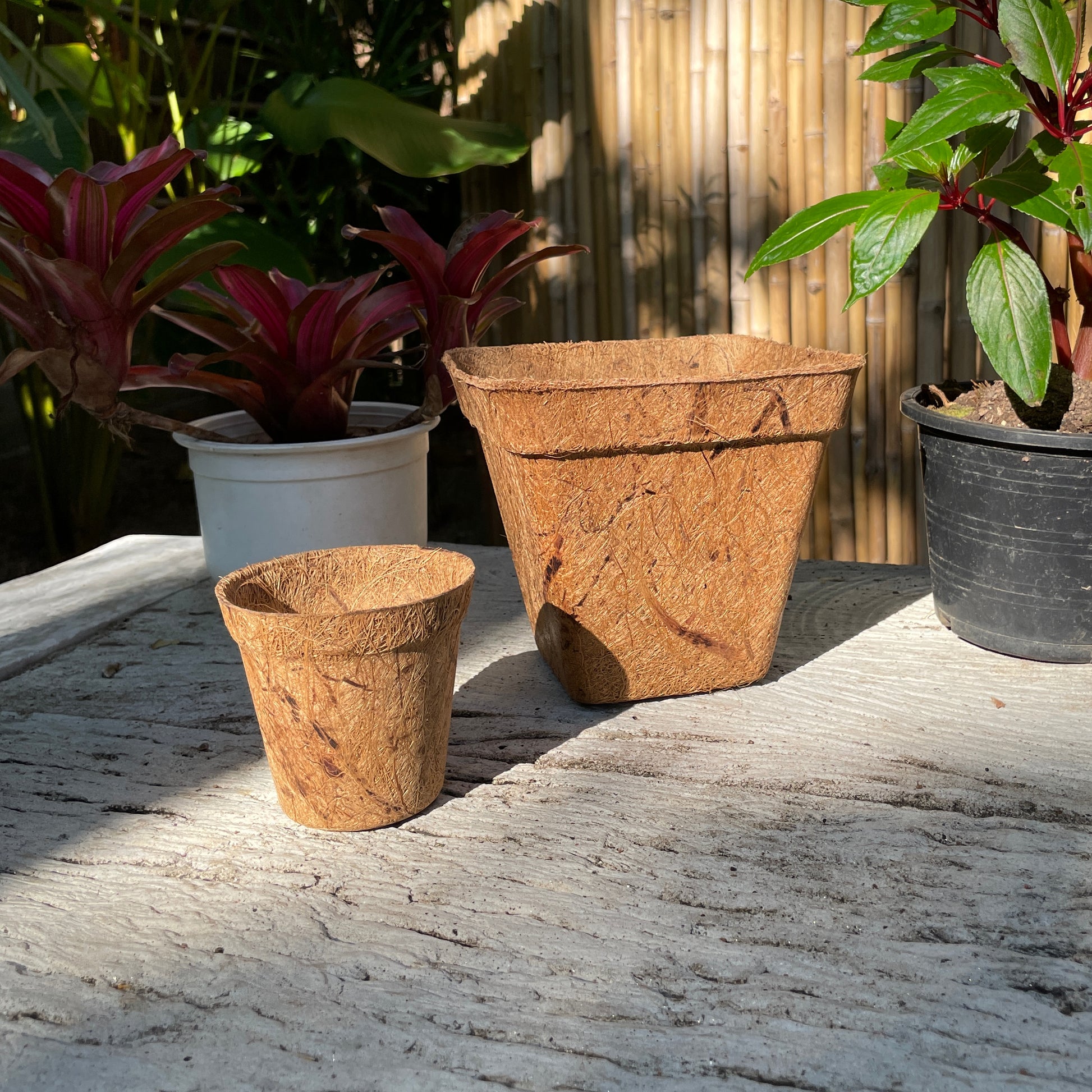 coconut coir plant pots Coconut Coir Pot